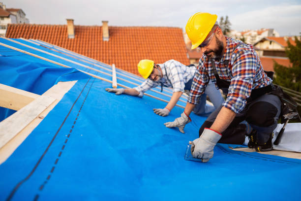 Roof Gutter Cleaning in Cumberland, KY